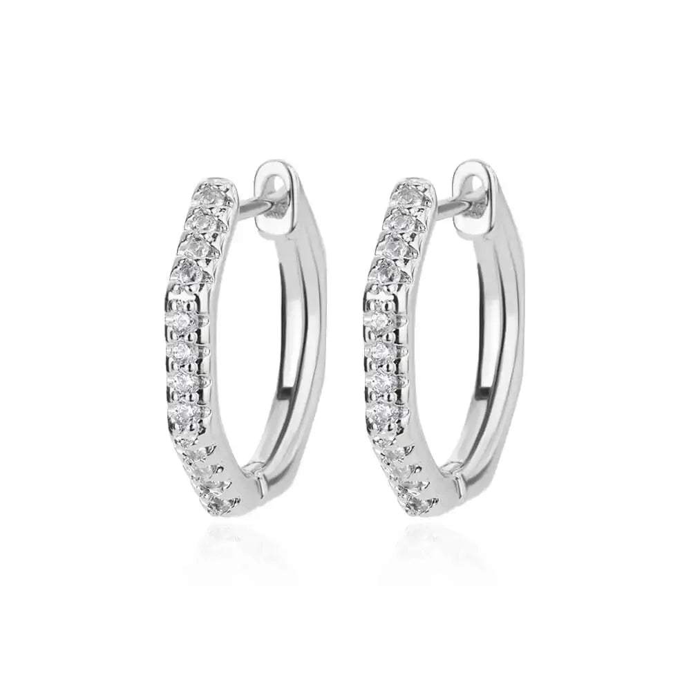Refined Curve Zircon Stud Earrings