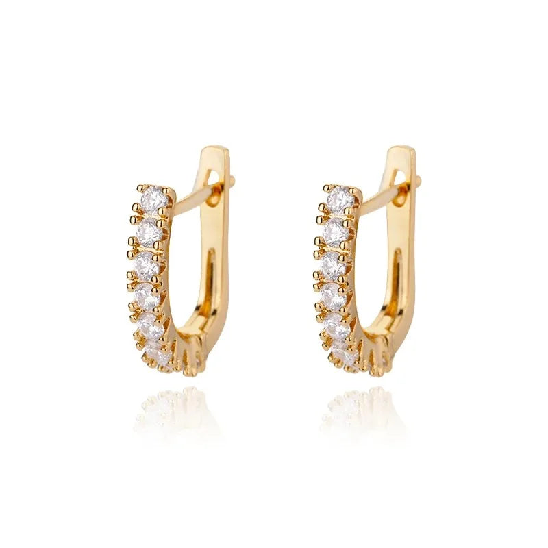 Refined Curve Zircon Stud Earrings