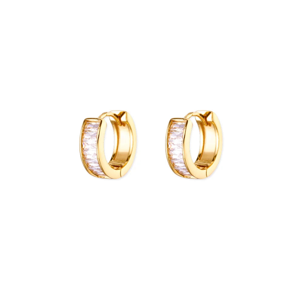 Refined Curve Zircon Stud Earrings