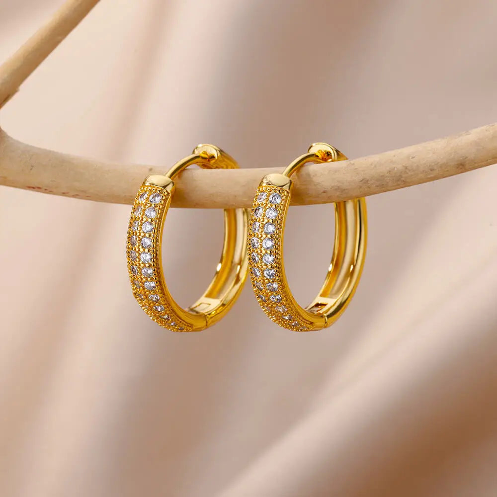 Refined Curve Zircon Stud Earrings