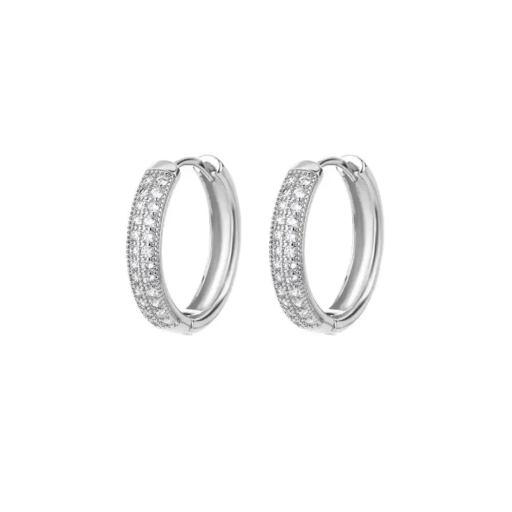 Refined Curve Zircon Stud Earrings