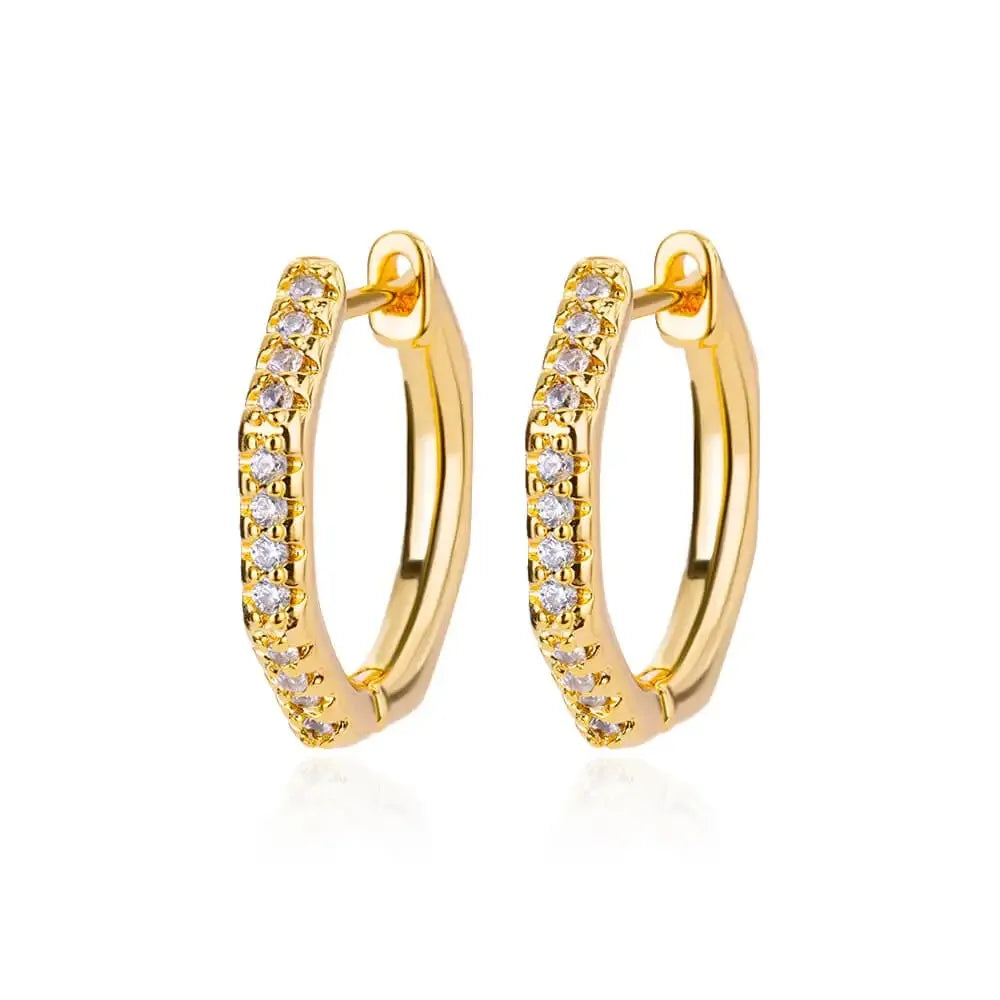 Refined Curve Zircon Stud Earrings